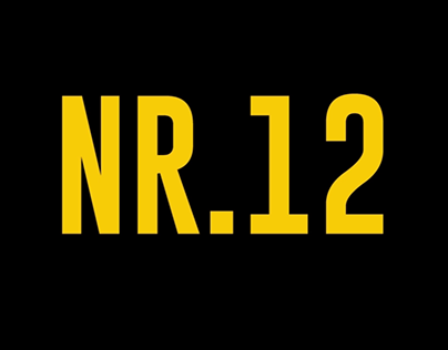 NR.12