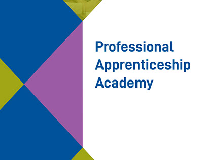 Professional Apprenticeship Academy PDF