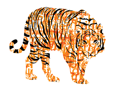 Tiger Illustrations