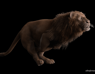 Lion Project. 3D