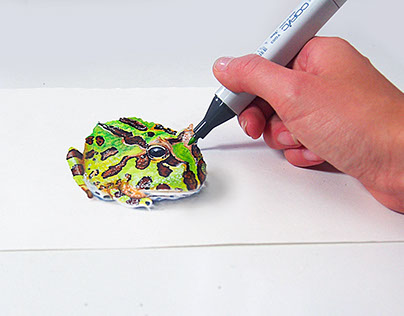 3D pacman frog