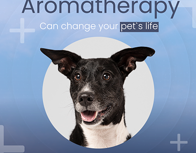Sofia Health - Aromatherapy