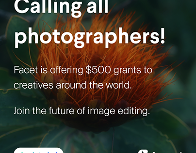 Project thumbnail - $500 Creator Grants from facet.ai