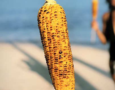 Corn in Thailand