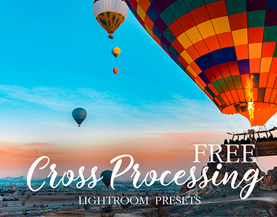 Lightroom Cross Process Preset Free