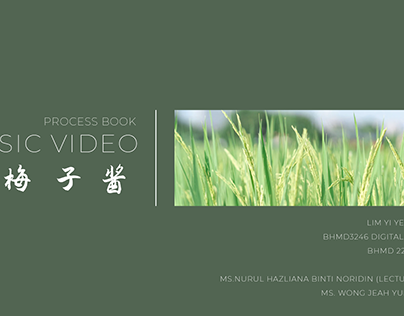 Process Book (Creative Multimedia)