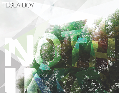 Tesla Boy Nothing Cover Concept