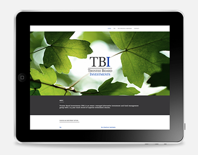 TBI website design