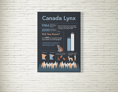 Canada Lynx Endangered Species Infographic