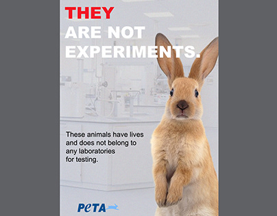 Animal Awareness Ad