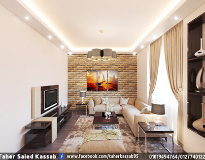 Living Room Enterior Design