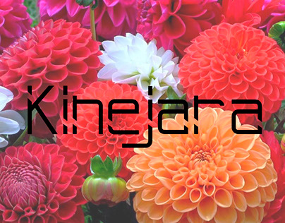 Tipografía Kinejara