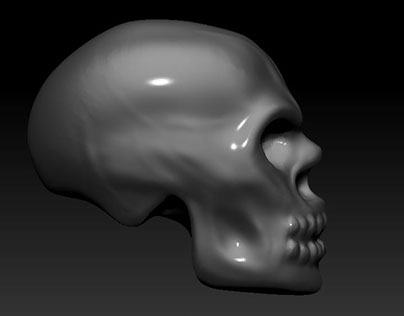 Skull model- zbrush