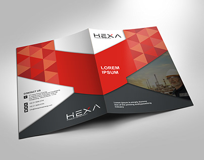 HEXA company profile project