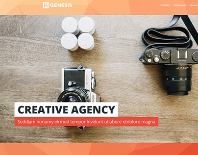 Agency Landing Pages