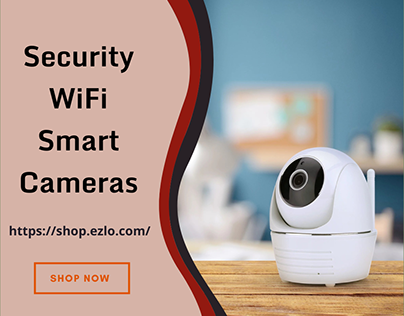 Get Smart with WiFi Smart Cameras