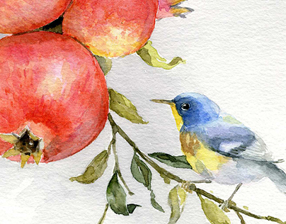 Brids and pomegranate | watercolor paintings