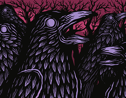 Night Crows!