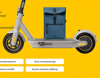 Project thumbnail - The Segway-Ninebot Russian official store