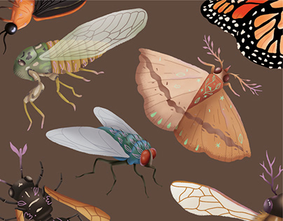 Ilustraciones de Insectos para juego de mesa