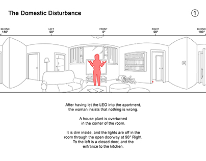 360 Video Storyboards:
The Domestic Disturbance