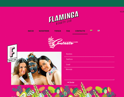 FLAMINGA - Web Design