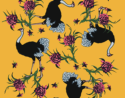 Redesign of ostrich pattern