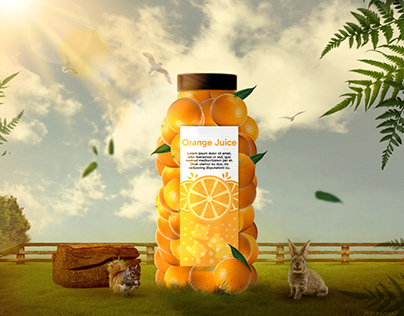 Bottled Freshness Orange Drink