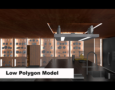 Low Polygon Model