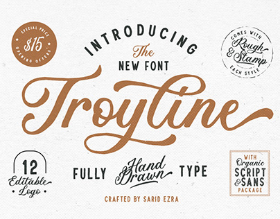 Troyline – Font Duo (+Logotype)