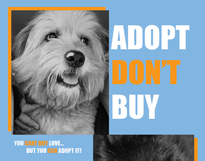 Adopt, DON'T buy...