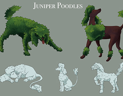Juniper Poodle Model Sheets