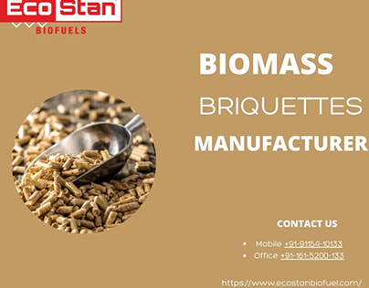 Indian Manufacturer of Innovative Biomass Briquettes,