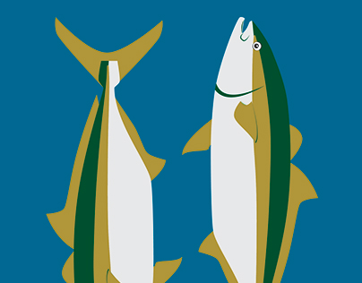 yellowtail fish illustration