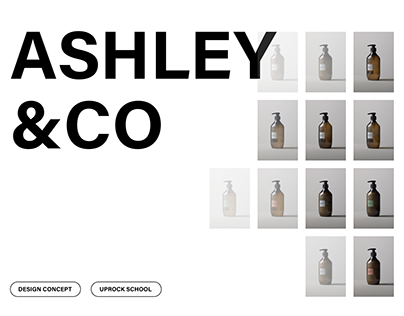 ASHLEY CO - ONLINE-STORE REDESIGN