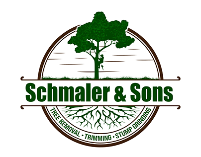 Schmaler & Sons logo