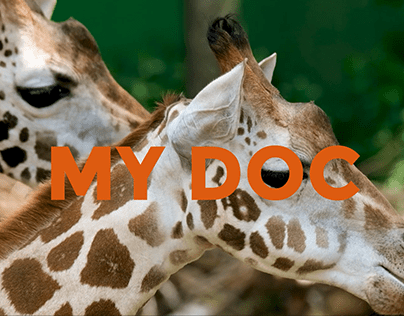 Animation : Documentaire animalier