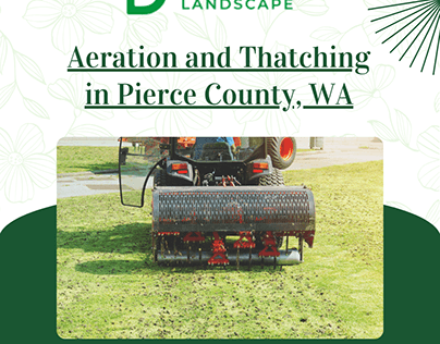 Aeration And Thatching In Pierce County Washington