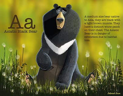 A is for Asiatic Black Bear
