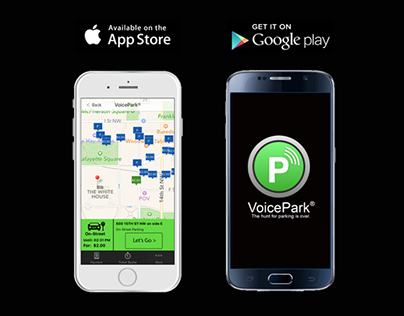 VoicePark, LLC (Start-Up)