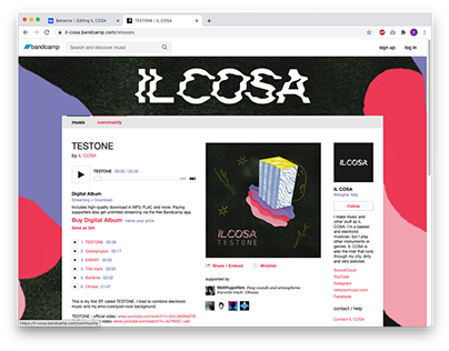 IL COSA / Testone album