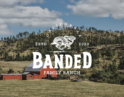 Banded Family Ranch - Brand Identity