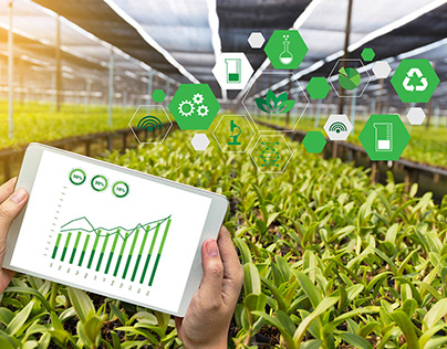 Product Innovation: IoT for agribusiness