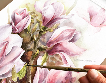 Watercolor illustration. Magnolia.