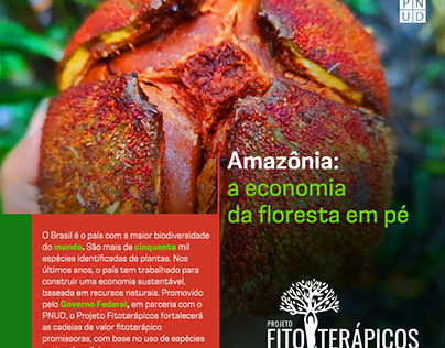 Card Amazônia Projeto Fitoterápicos