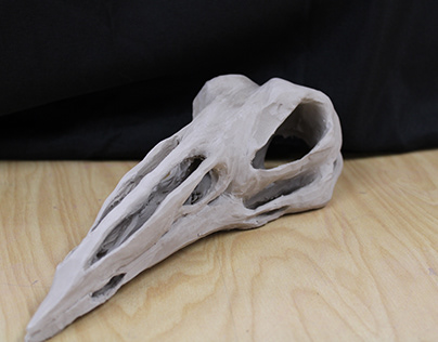 Clay bird skull