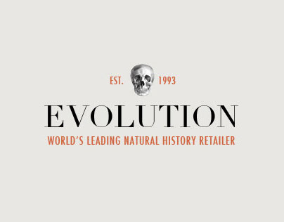 Evolution Store Website