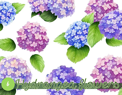 Watercolor Cliparts & Pattern : Japan Hydrangea flower