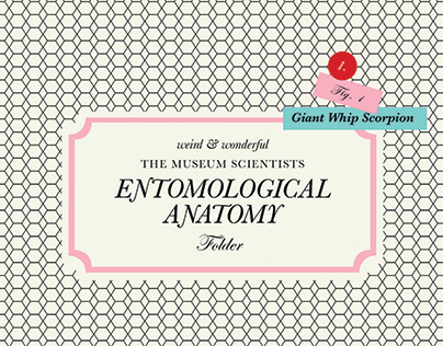 Entomological Anatomy Folder