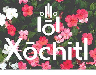 Xochitl Fashion